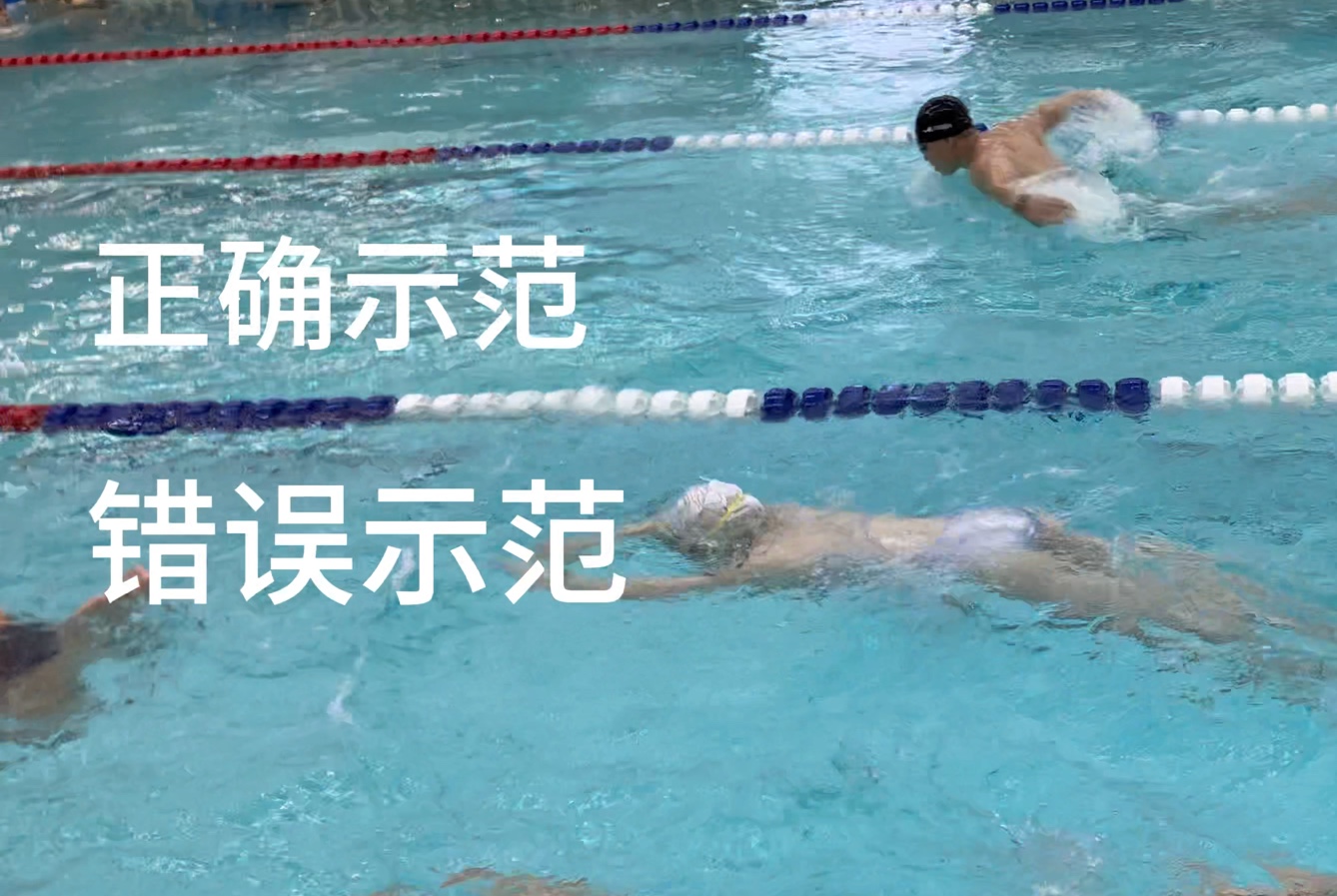 蝶泳的正确姿势(蝶泳的正确姿势和换气)